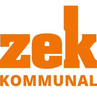 zek Logo