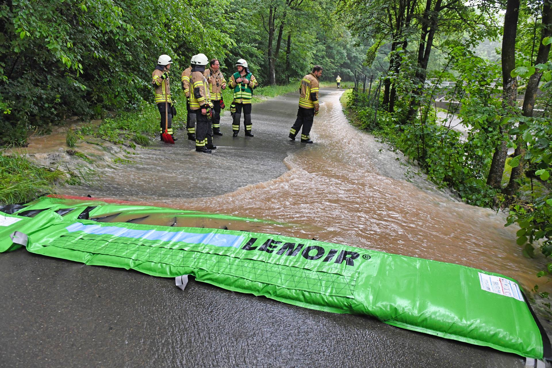 Videos 2 Beaver Fellbach_Barth_03